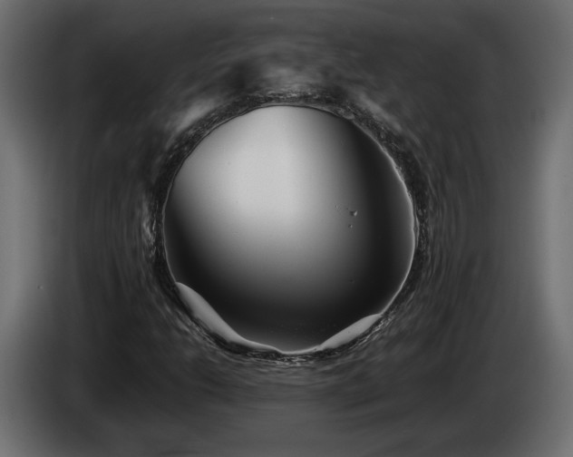 X0000085831206200703231413