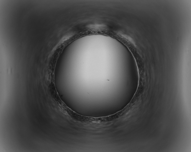 X0000085831207200703231413