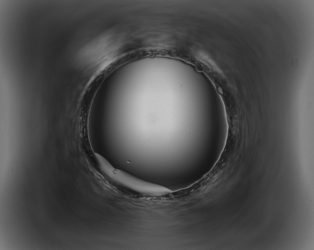 X0000085831208200703231413