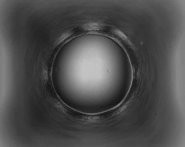 X0000085831209200703231413