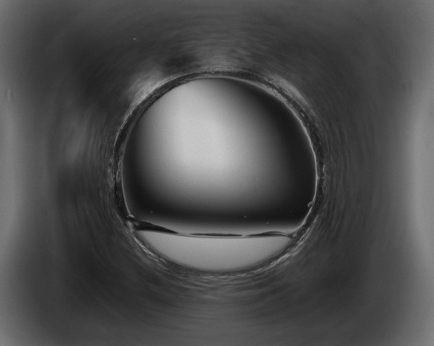 X0000085831212200703231413