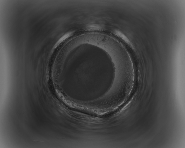 X0000085831213200703231413