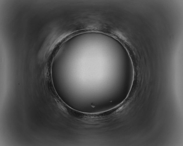 X0000085831215200703231413