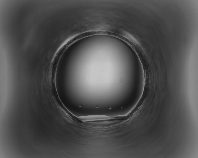 X0000085831216200703231413