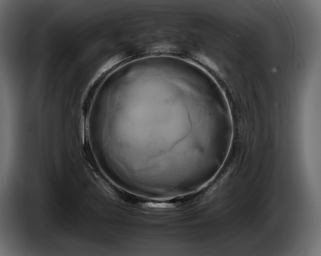 X0000085831219200703231413