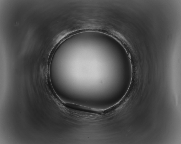 X0000085831220200703231413