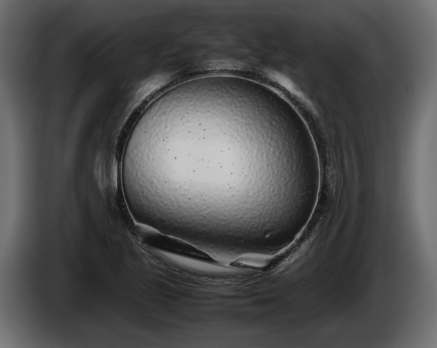 X0000085831221200703231413