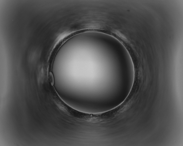 X0000085831222200703231413