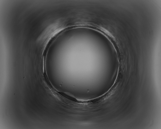 X0000085831223200703231413