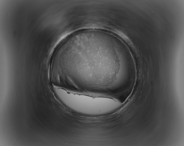 X0000085831224200703231413