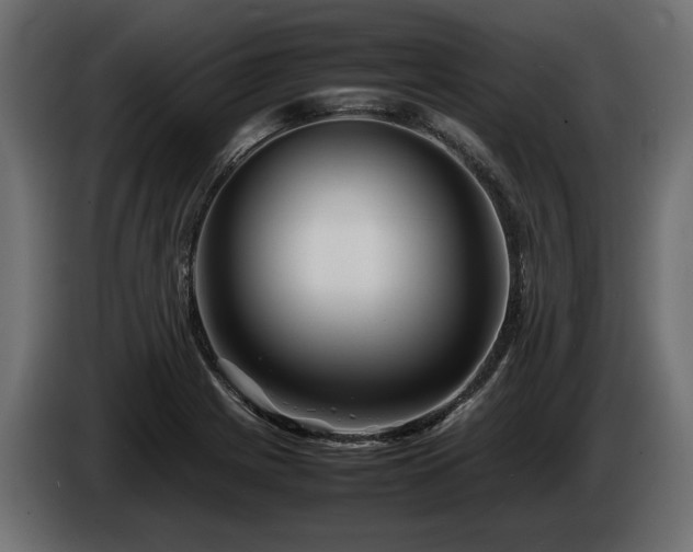 X0000085831225200703231413