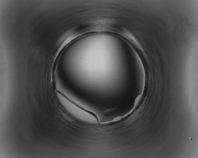 X0000085831226200703231413