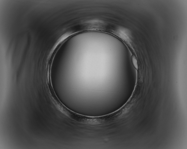 X0000085831227200703231413