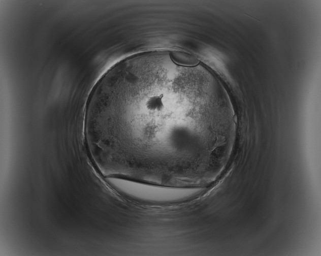 X0000085831228200703231413