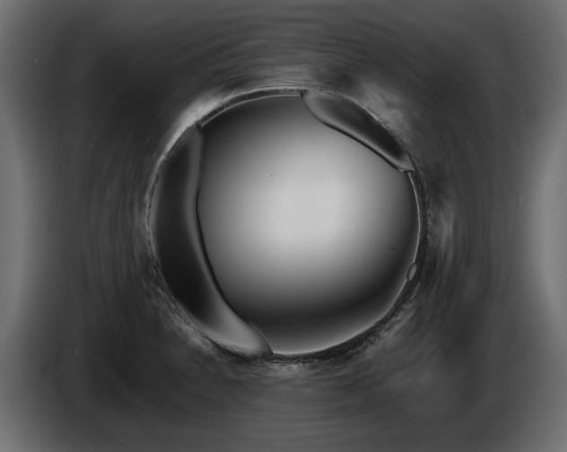 X0000085831230200703231413