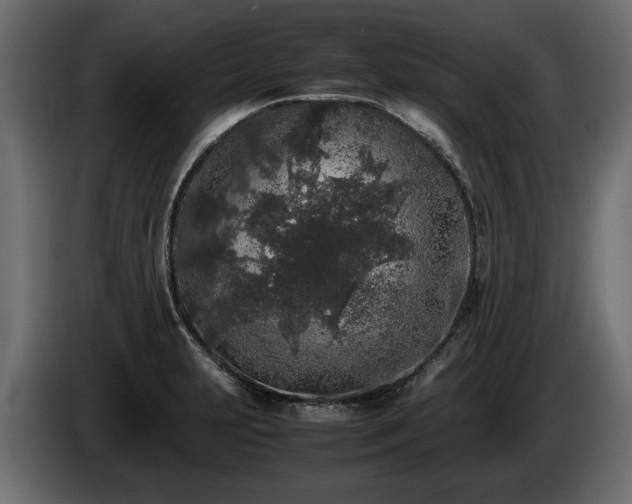 X0000085831231200703231413