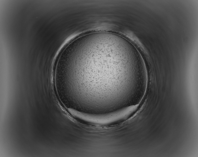 X0000085831232200703231413