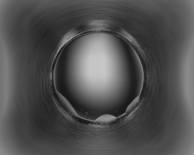 X0000085831234200703231413