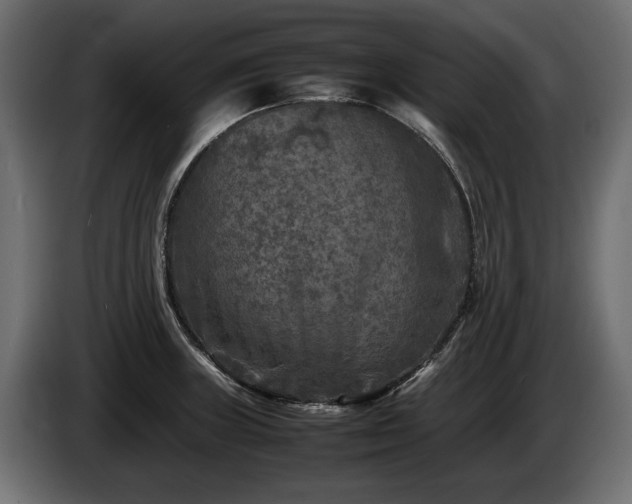 X0000085831235200703231413