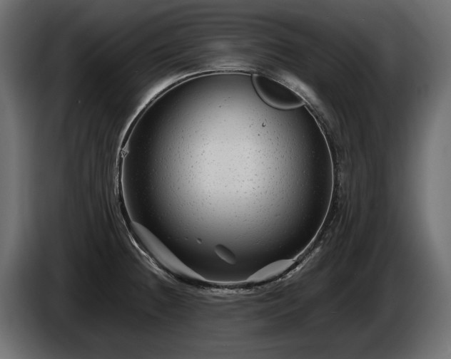 X0000085831236200703231413