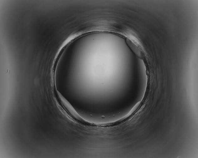 X0000085831238200703231413