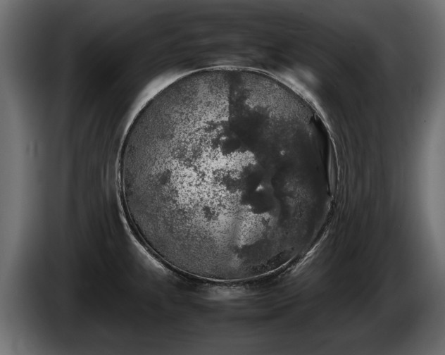 X0000085831239200703231413