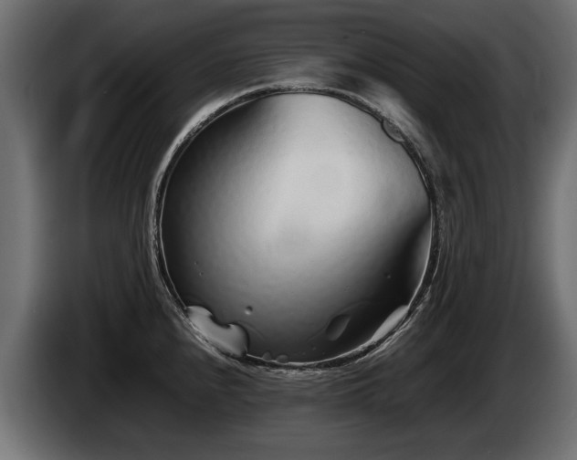 X0000085831240200703231413