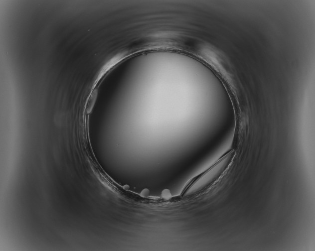 X0000085831242200703231413