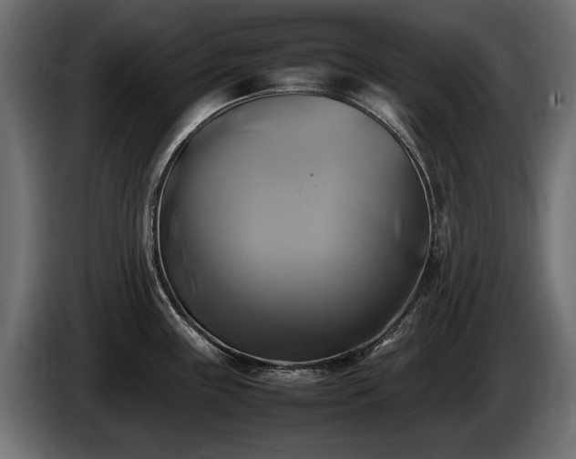 X0000085831243200703231413