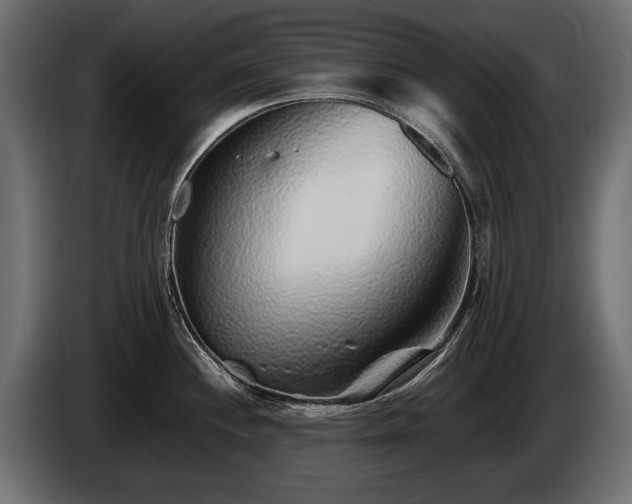 X0000085831244200703231413