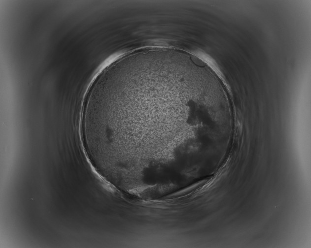 X0000085831245200703231413