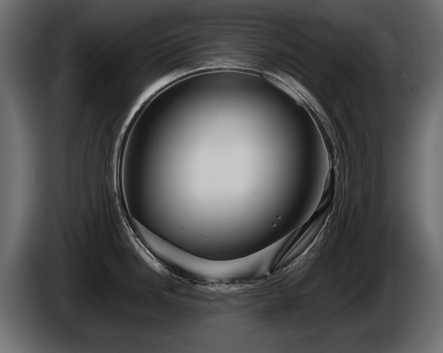 X0000085831246200703231413