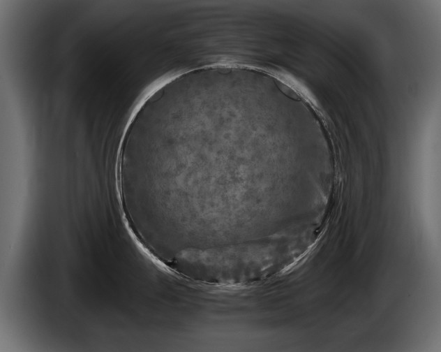 X0000085831247200703231413