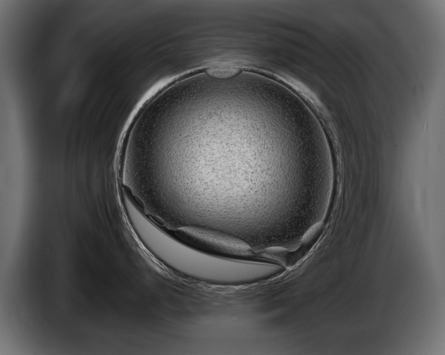 X0000085831248200703231413