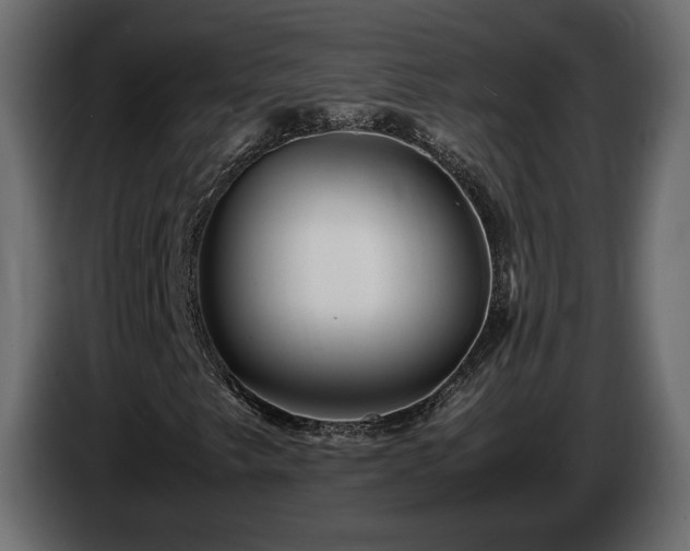 X0000085831249200703231412