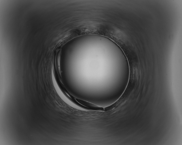 X0000085831250200703231412