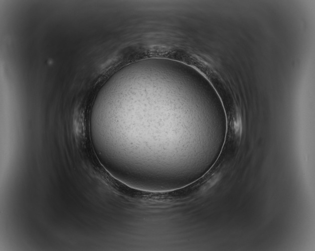 X0000085831252200703231412