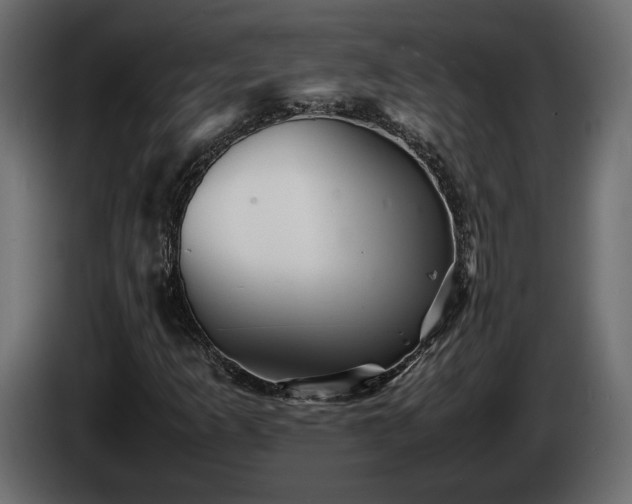 X0000085831253200703231412