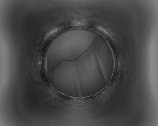 X0000085831254200703231412