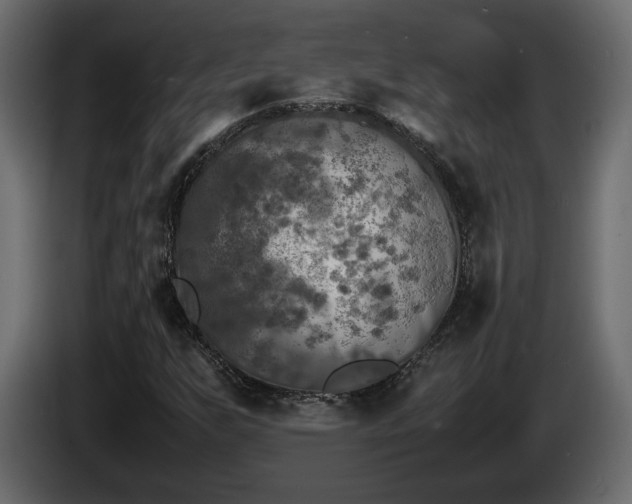 X0000085831255200703231412