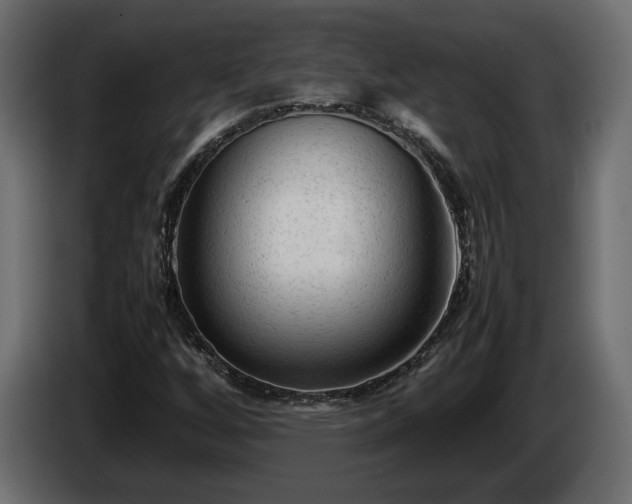 X0000085831256200703231412