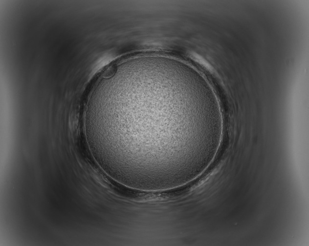 X0000085831259200703231412