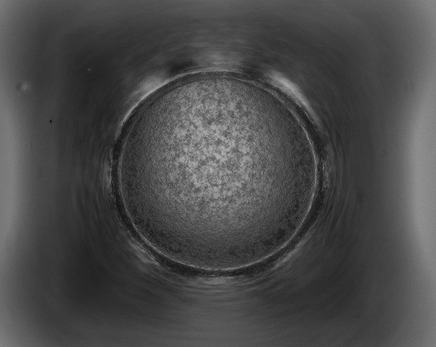 X0000085831260200703231412