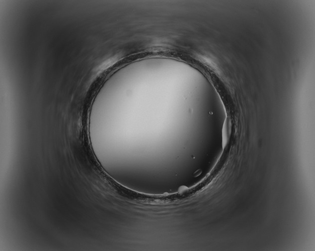 X0000085831261200703231412