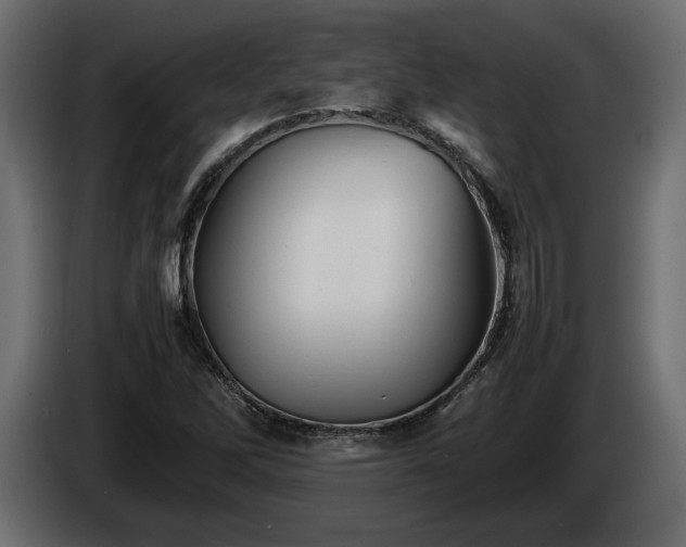 X0000085831262200703231412