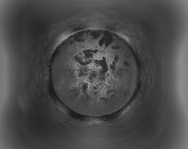 X0000085831263200703231412