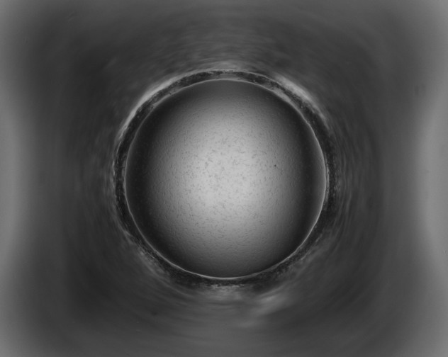 X0000085831264200703231412