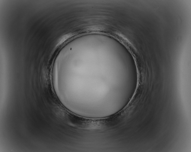 X0000085831266200703231412