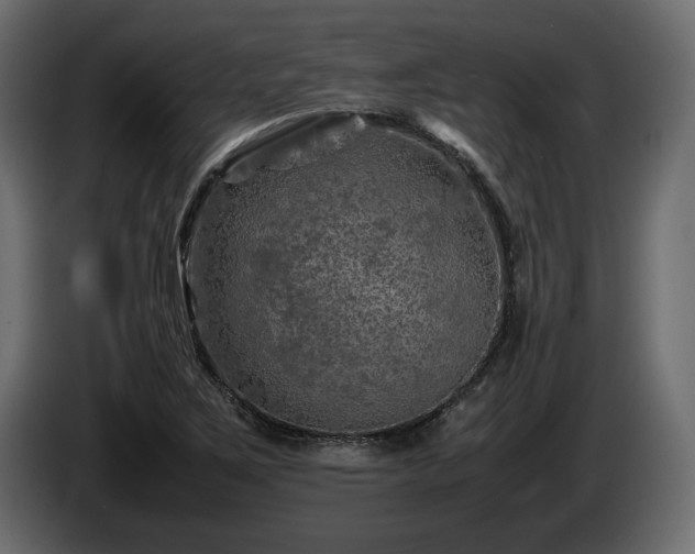 X0000085831267200703231412