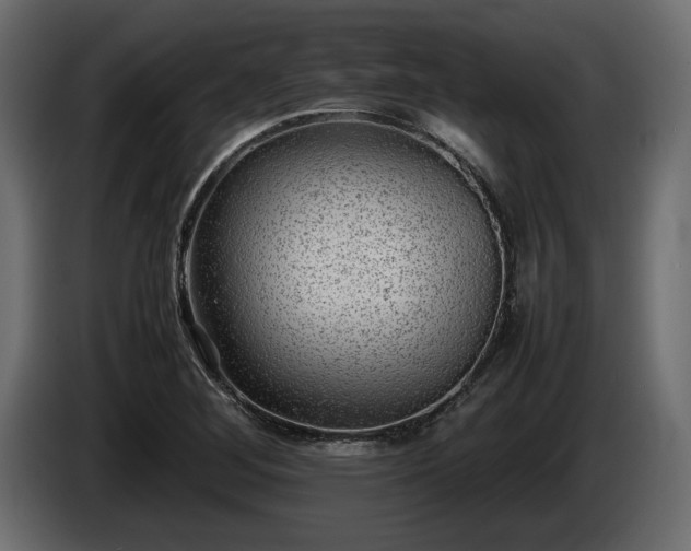 X0000085831268200703231412